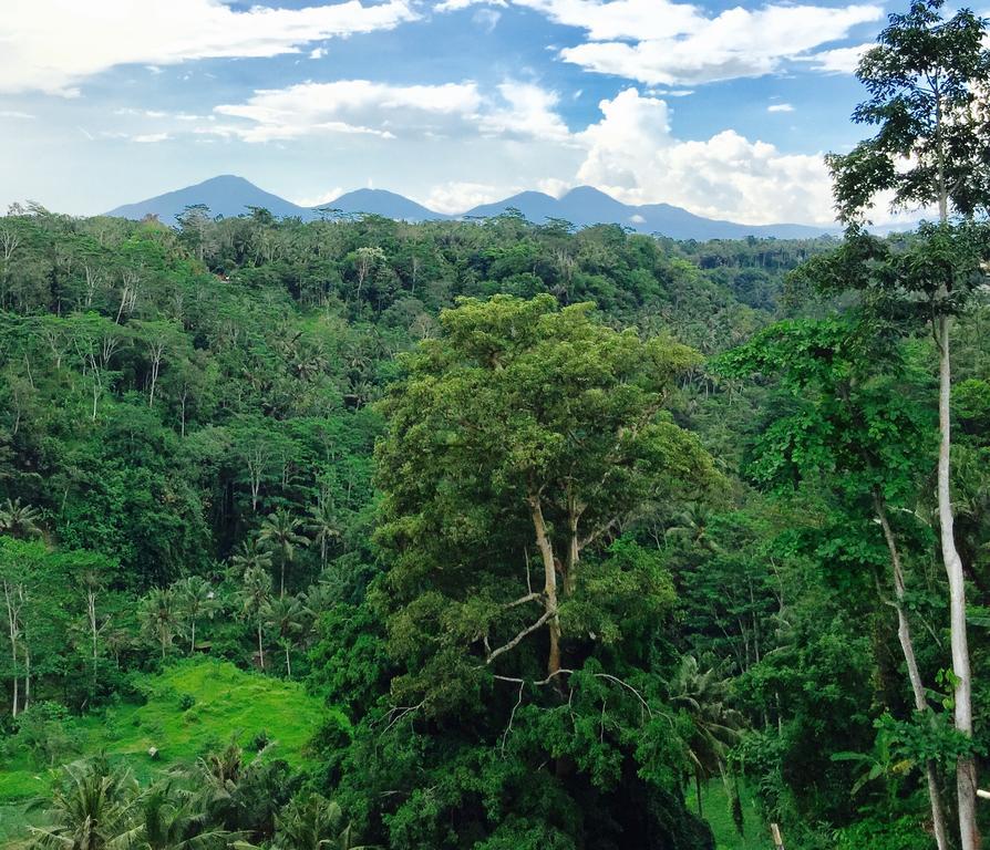 Ayuterra Resort Ubud  Luaran gambar
