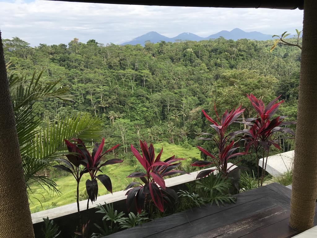 Ayuterra Resort Ubud  Luaran gambar
